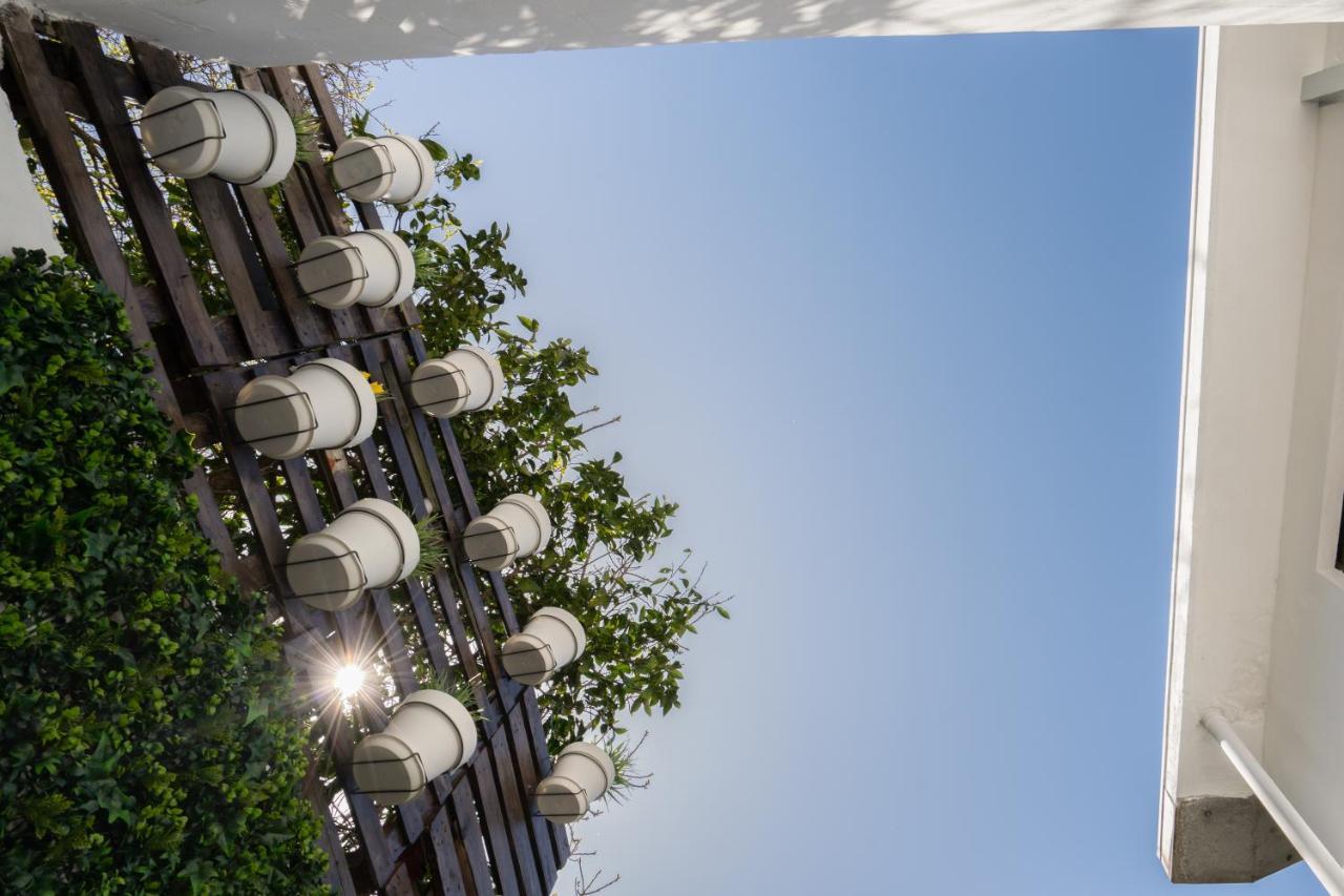 Calm Sunny House With Terrace Apartament *